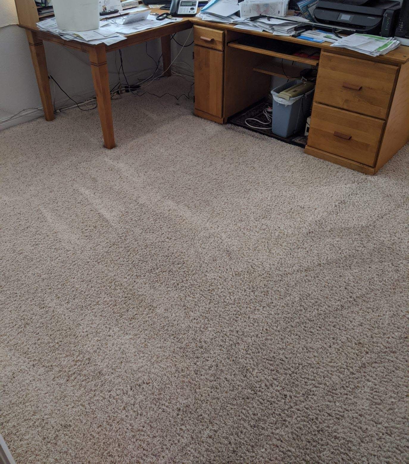 clean carpet