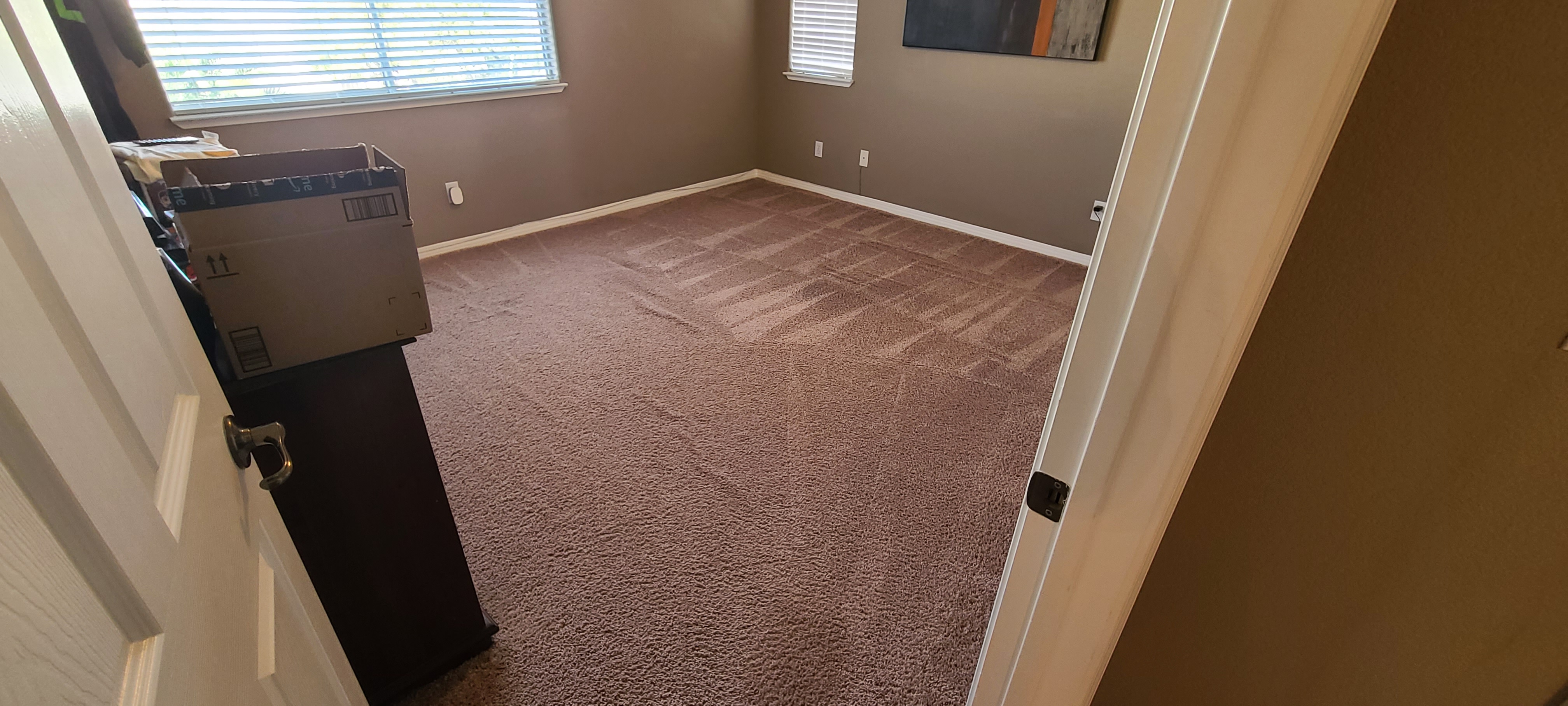 clean carpet