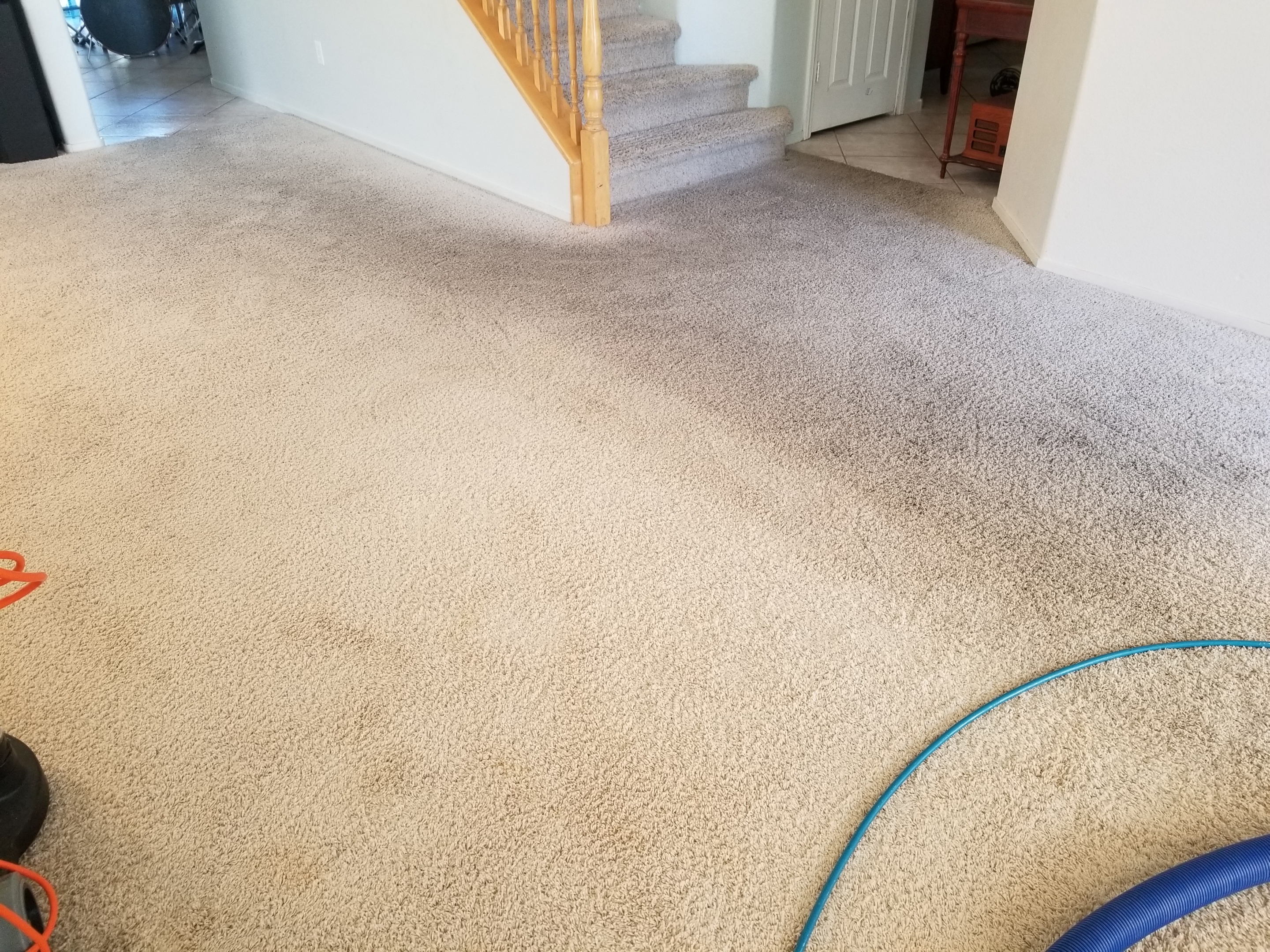 dirty carpet